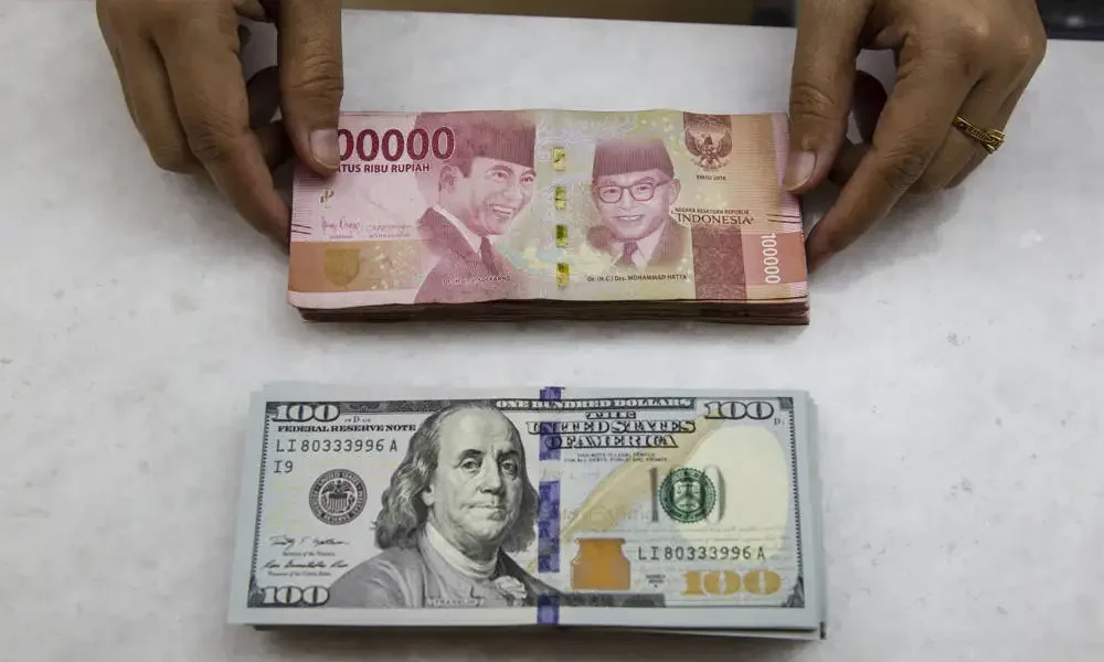dolar